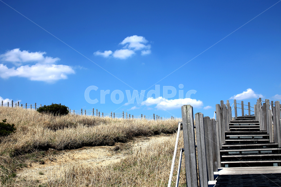 신불산,신불산가을,가을산,명산,억새,가을,자연,풍경,nature,landscape,handrail,난간,banister