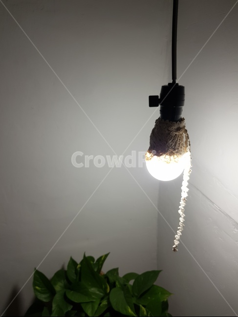 light,빛,밤,불빛,전등