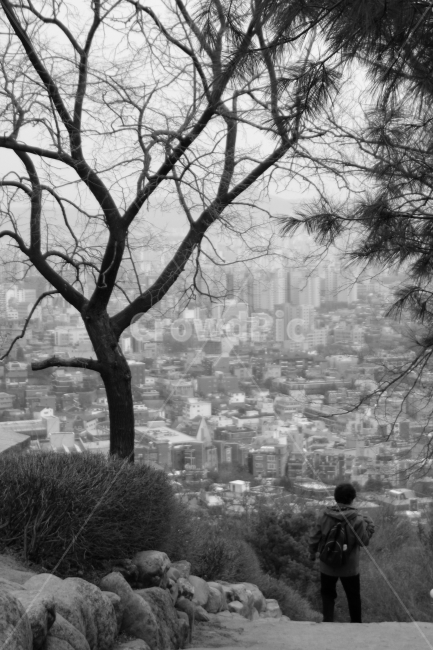Seoul Fortress Road,alone,black and white photography,daily,loneliness,time,Emotion