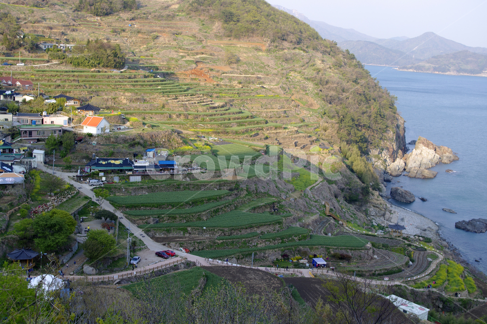 남해,가천마을,다랑이논,다랑이,풍경,나무,바다,논,마을,시골,마을,풍경,landscape,country,rural,town
