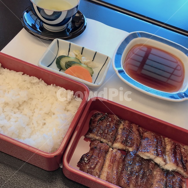 japan,restrant,lunch,eel,set,meal,lunchbox,일본음식,일본식당,일본,장어,장어도시락,요리,맛있다,담백
