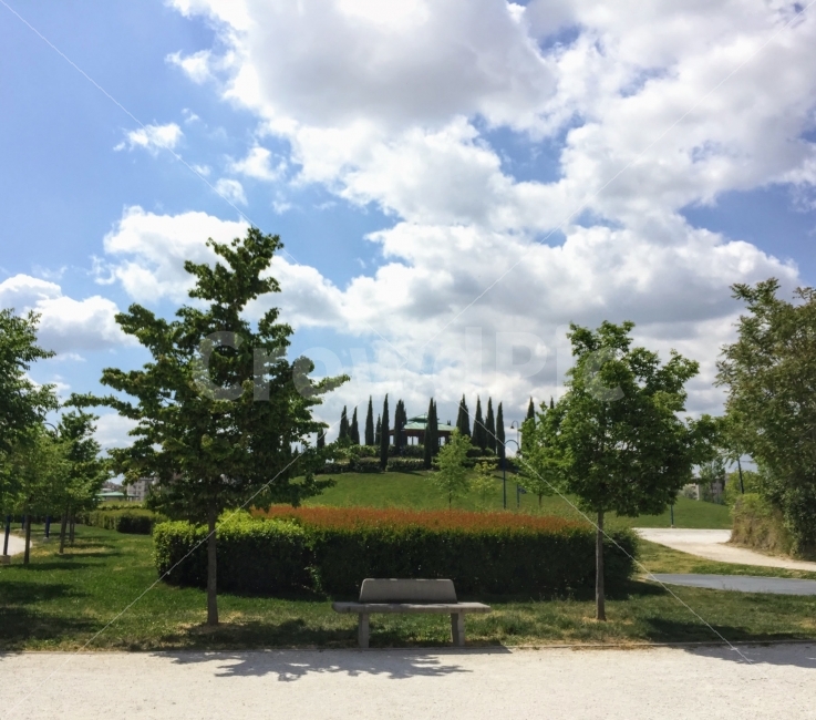 여행,나무,공원,휴식,하늘,자연,풍경,nature,landscape,bench,벤치,grass,잔디,plant,식물