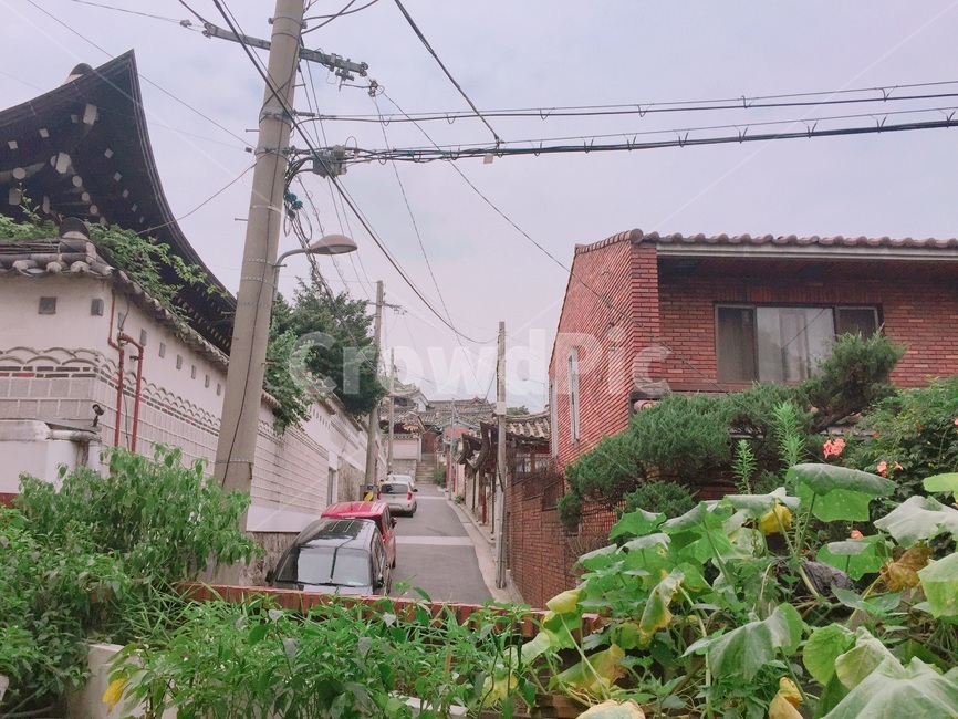 북촌,북촌한옥마을,한국풍경,풍경,한옥마을,한국전통,도시,풍경,city,landscape,한국도시풍경,한국도시경관,korea cityscape,plant,식물,potted plant,화분,pottery,도기류,jar,항아리,vase,병 장식