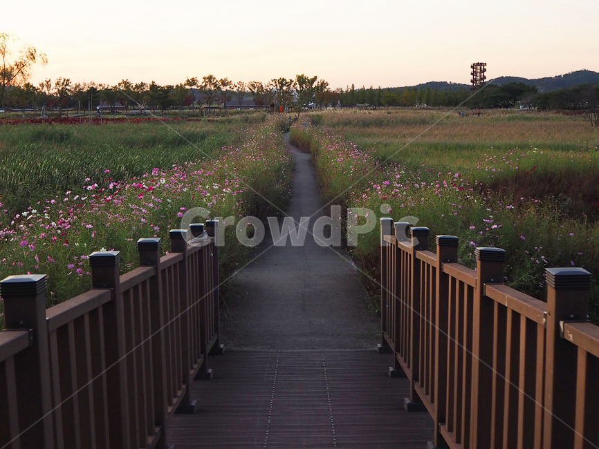 길,다리,가을,outdoors,자연,옥외,공원,nature,railing,자연,풍경,nature,landscape,난간,handrail,banister