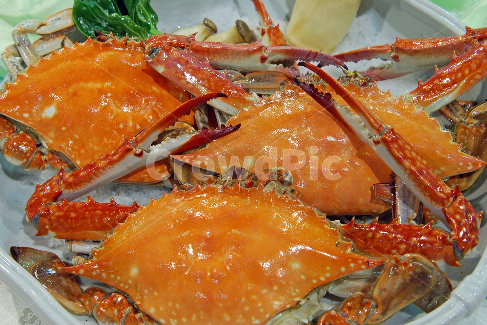 꽃게,게,게찜,꽃게찜,갑각류,음식,찜,요리,해산물,해물,씨푸드,크랩,껍질,집게,식품,음식,식재료,요리,food,cook,meal,dishes,food reserves,수산물,해산물,fishery products,seafood
