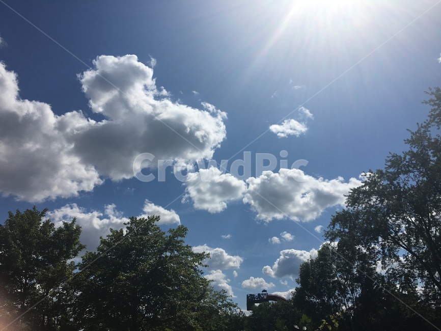 날씨,구름,나무,cloud,nature,자연,outdoors,옥외,weather,tree,trees