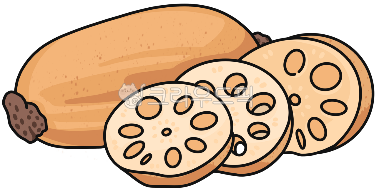 연근,연근그림,연근일러스트,농작물,농작물수확,농작물수확그림,농촌체험,농촌체험그림