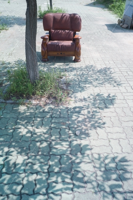 의자,휴식,그늘,그림자,나무,자연,오후,여유,편안함,더위,chair,rest,shadow,tree,nature,comfortable,사물,물건,오브젝트,thing,object,matter