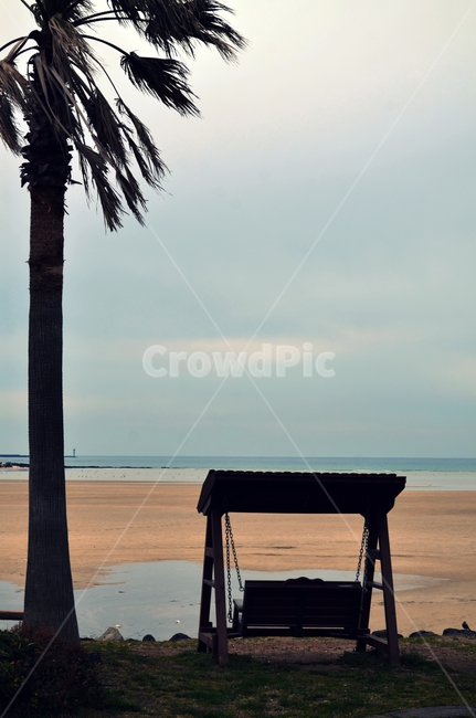하늘,바다,바닷가,의자,벤치,야자수,배경화면,제주,해변,바다,beach,sea
