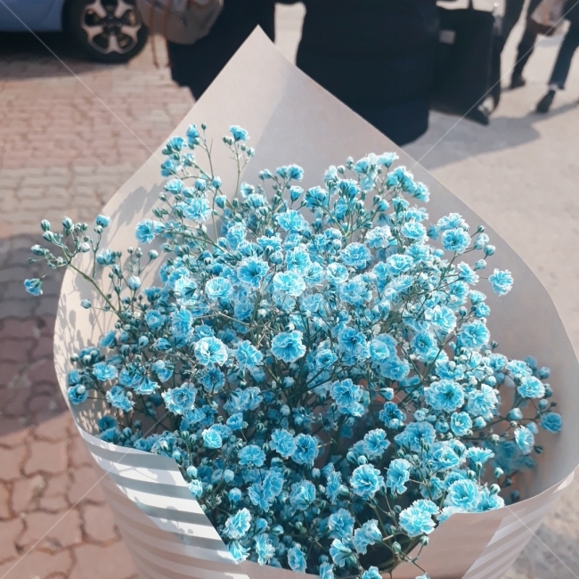 꽃다발,안개꽃,졸업식,꽃,하늘색,식물,자연,plants,nature,꽃,flower,기념일,축하,anniversary,congratulation,celebrate,celebration
