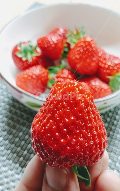 딸기,채소,간식,디저트,스트로우베리,음식,식재료,요리,food,cook,meal,dishes,food reserves,과일,열매,fruit