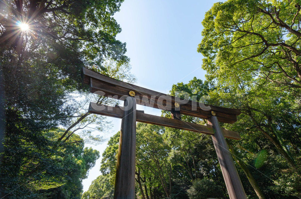 나무,하늘,sky,tree,sunlight,랜드마크,landmark,tourist attraction,해외,외국,세계,foreign,oversea,world,세계랜드마크,해외랜드마크,외국랜드마크,world landmark,world tourist attraction,garden,정원,outdoors,옥외