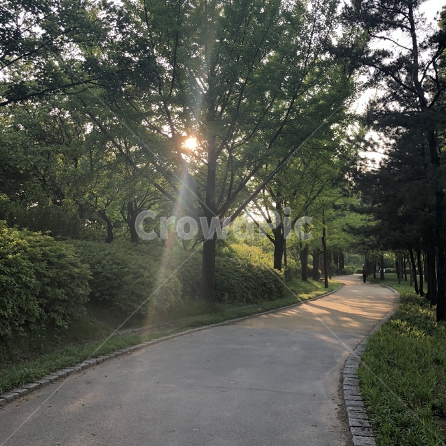 풀,잔디밭,노을,공원,하늘,일상,감성,산책,선유도공원,산책길,햇빛,조깅,걷기