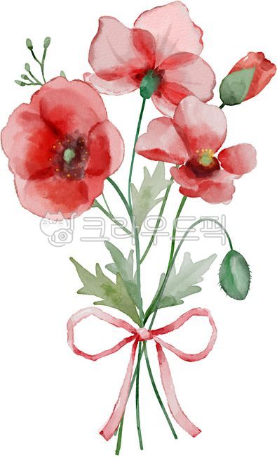 수채화,꽃일러스트,봄,양귀비,자연,plants,nature,그림,수채화그림,봄꽃,꽃수채화,봄일러스트,일러스트,감성,사랑,축제,플라워,잎,아름다움,녹색,미술,꽃송이,빨강,빨강양귀비,빨강꽃,꽃다발,리본,부케,flower,부케꽃,plant,식물,꽃,수채화꽃,양귀비꽃