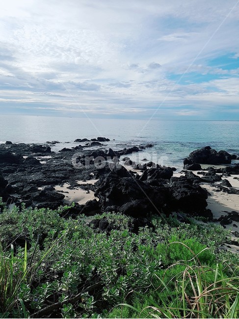 제주도,바다,현무암,자연,ocean,beach,jejudo,water,sea,물,자연,풍경,nature,landscape,promontory,곶,outdoors,옥외,대양
