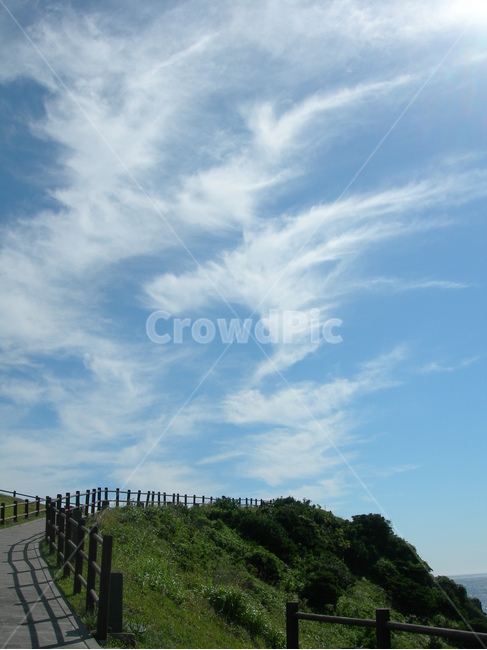 하늘,구름,길,공원,자연,맑음,깨끗,나무,sky,cloud,way,park,nature,clear,tree