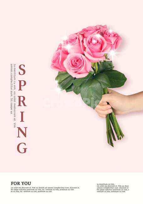 장미,꽃,핸드모션,손,표지,전단지,브로슈어,카달로그,봄,계절,spring,season,꽃,flower,기념일,축하,anniversary,congratulation,celebrate,celebration,그래픽,일러스트레이션,graphic,illustration,plant,식물