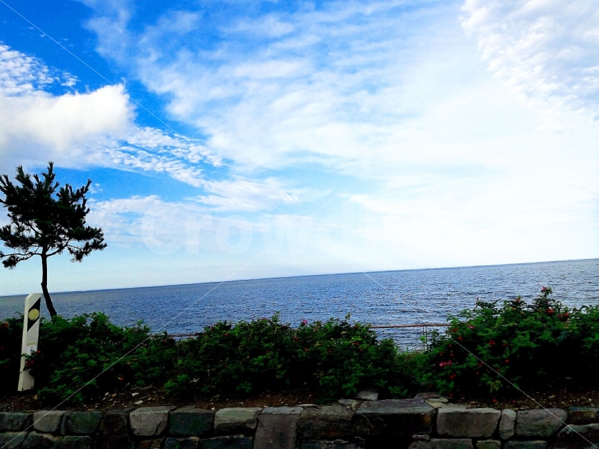 파란하늘,바다,길,돌다리,한그루,자연,풍경,nature,landscape,한국자연풍경,한국자연경관,korea nature landscape