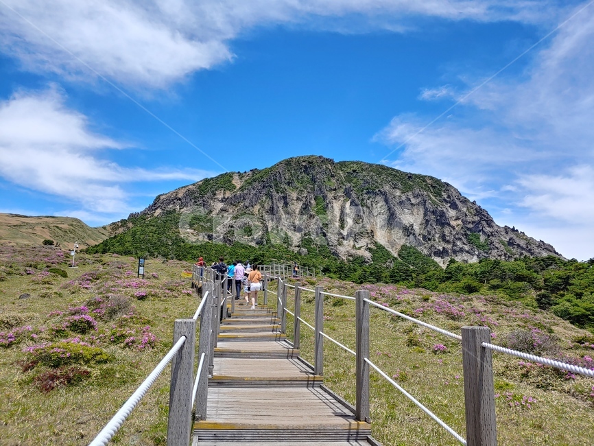 하늘,산,구름,길,백록담,mountain,sky,clouds,green,초록,등산,한라산,배경,trail,walkway,데크