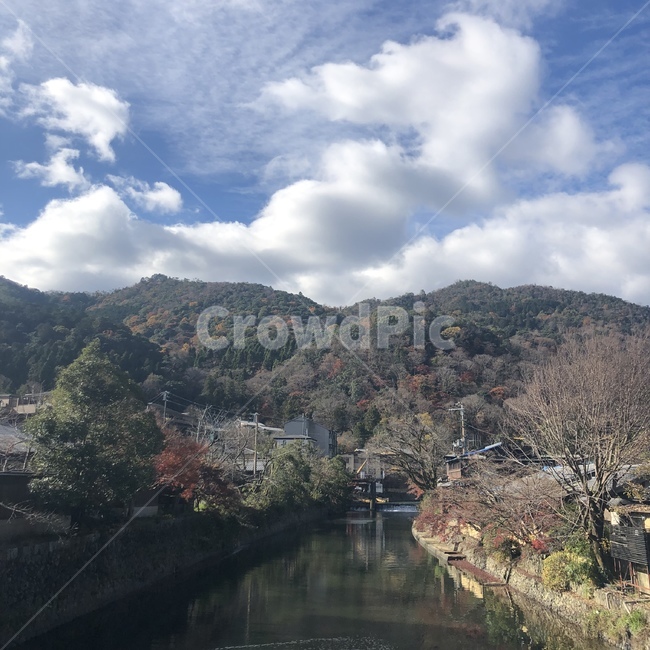 nature,자연,산,나무,단풍