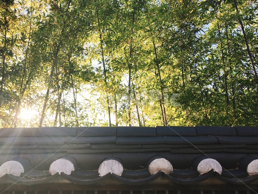 한옥,전주,돌담길,풍경,골목,한국적인,전통