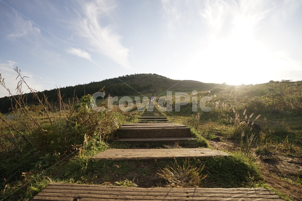 제주도,제주,오름,백약이오름,소,들판,하늘,일몰,자연,풍경,nature,landscape,outdoors,옥외,grassland,목초지,field,들
