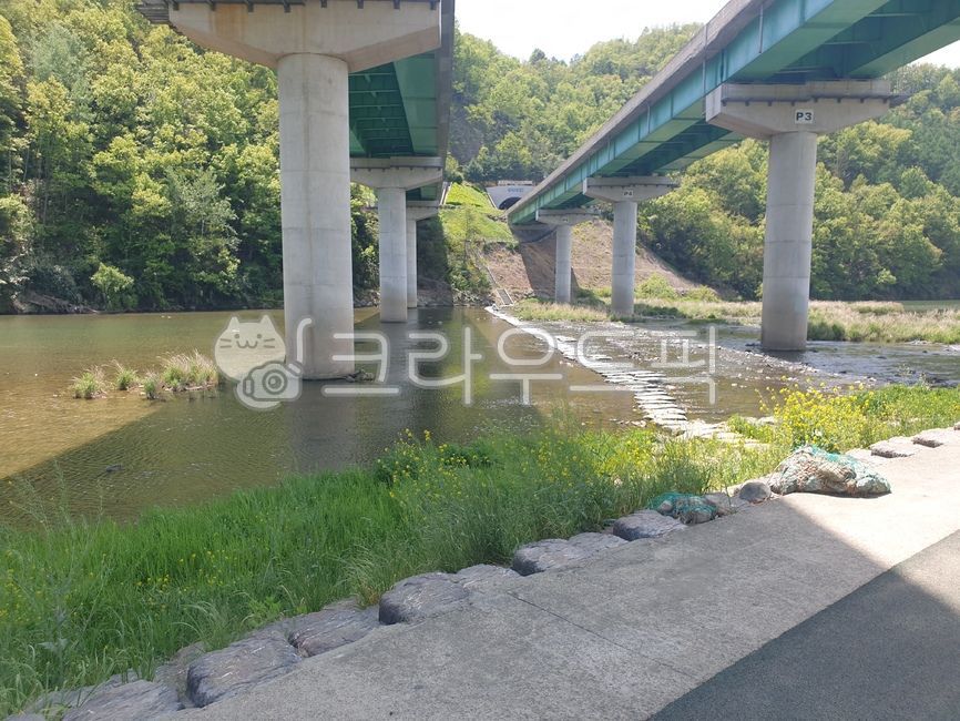 강,다리밑,고속도로밑,밀양강,자연