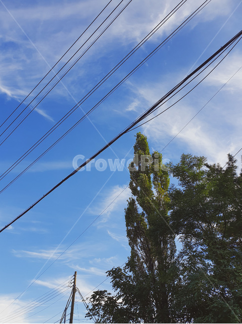 utilitypole,전신주,cable,케이블,powerlines,전력선,nature,자연,outdoors,옥외,sky,cloud,green,blue,skyblue,새털구름,권운,cirrus,cirri