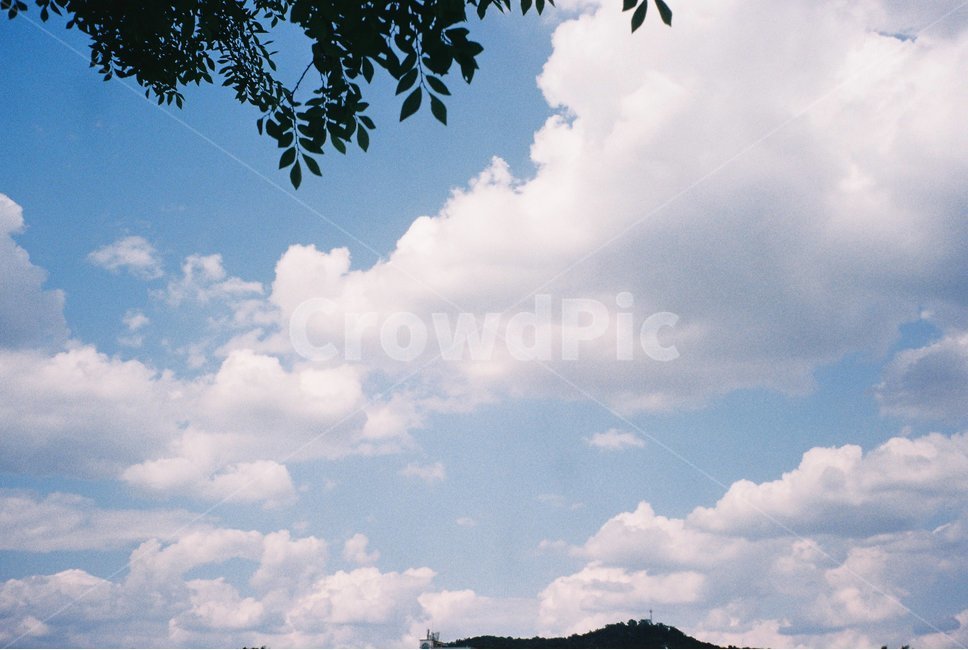 nature,자연,outdoors,옥외,weather,날씨,맑음,구름,하늘,푸름,sky,필름,필름카메라,자연,풍경,nature,landscape