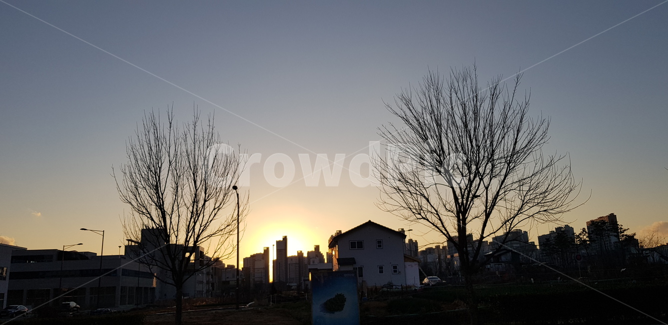 노을,저녁,나무,건물,쓸쓸함,해질녘,도시,풍경,city,landscape,nature,자연,outdoors,옥외,sunlight,햇빛,sky,하늘,dusk,황혼,red sky,붉은 하늘,dawn,새벽,sunset,일몰