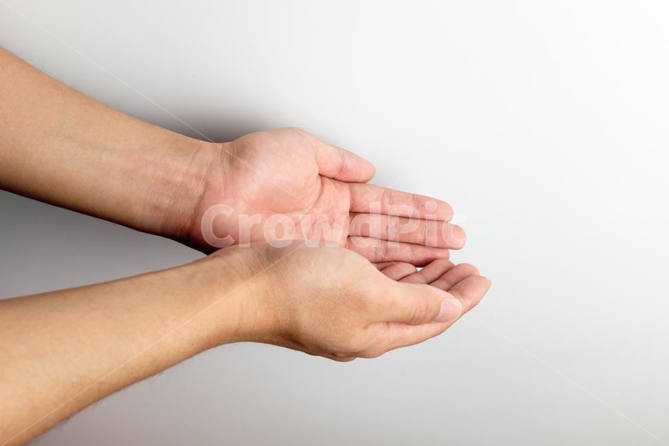 손바닥,손가락,손톱,신체부위,손,손금,사람손,성인,남자,클로즈업,엄지손가락,검지손가락,중지손가락,약지손가락,새끼손가락,신체부분,신체일부,몸,body
