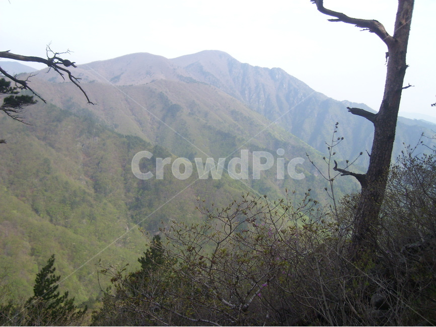 두타산,등산로,휴양림,자연,계절,자연,풍경,nature,landscape,한국자연풍경,한국자연경관,korea nature landscape,outdoors,옥외,plant,식물,tree,나무