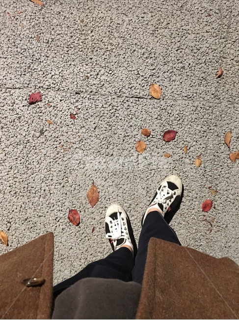 가을,낙엽,산책로,신발,공원,밤풍경,감성사진,가을,계절,fall,autumn,season,사람,인물,인간,human,person,신체일부,몸,body