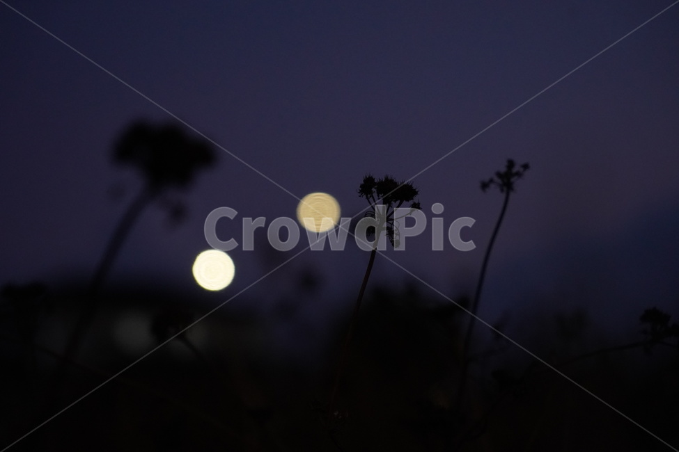 자연,nature,outdoors,옥외,night,밤