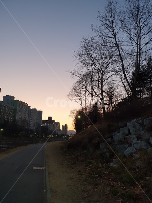 sunset,sky,park,tree,nature,road,하늘,감성,저녁,노을녁,나무,공원,자연