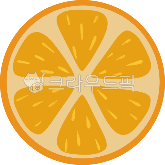오렌지,orange,귤,오렌지단면,과육,주황색과일,오렌지그림,오렌지일러스트,여름과일,fruit,과일