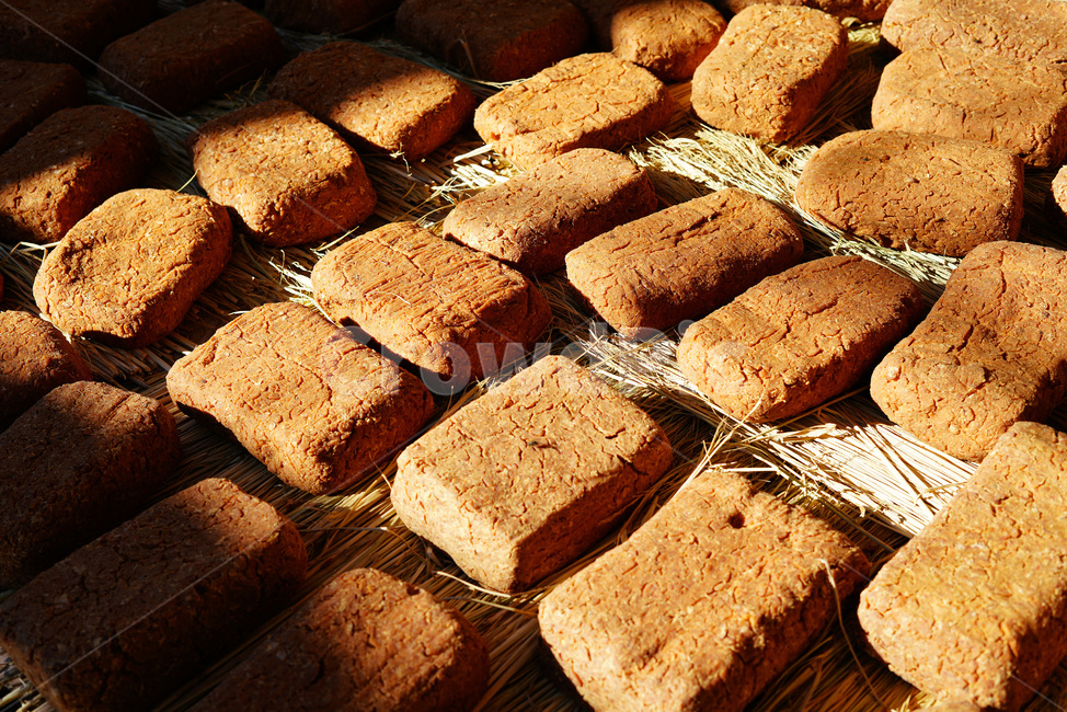 메주,된장,전통메주,발효식품,전통식품,한국전통,한국문화,korean traditional,korean culture