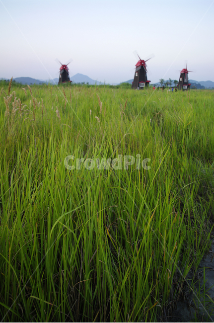 노을,하늘,풍경,풀,풍차,자연,풍경,nature,landscape,outdoors,옥외,grassland,목초지,field,들