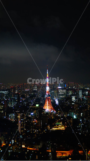 일본,야경,도시,전망대,도쿄타워,cityview,도쿄