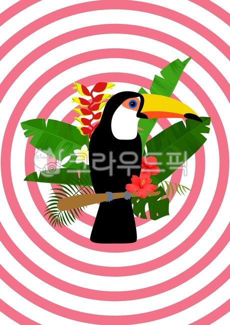 배경,여름,계절,시즌,백그라운드,일러스트레이션,일러스트,그림,드로잉,벡터,줄무늬,스트라이프,원,동그라미,트로피컬,열대나무,야자수,야자잎,피서,휴가,여름방학,열대식물,핑크,분홍,핑크색,분홍색,헬리코니아,토코투칸,새,왕부리새,큰부리새,몬스테라,바나나잎,히비스커스,플루메리아,열대꽃,summer,tropical,background,illustration,vector,drawing,animal,bird,toco,tucan,heliconia,hibiscus,plumeria,palm,leaf,banana,circle,pink,그래픽,일러스트레이션,graphic,illustration