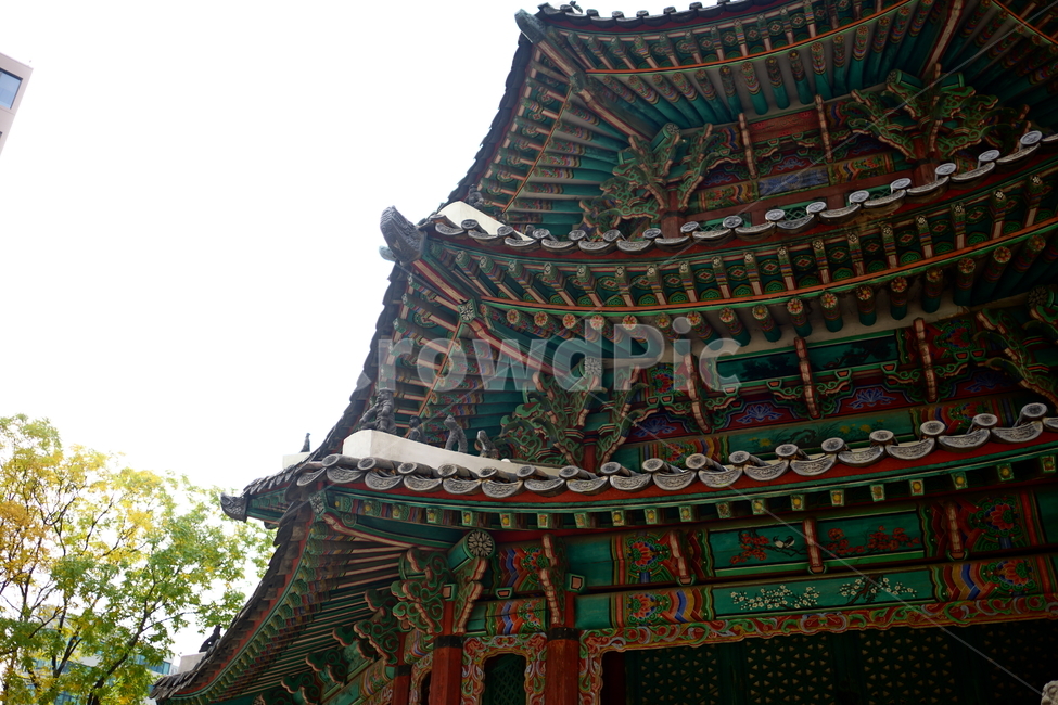 환구단,환단,원구단,문화재,전통,대한제국,조선,문화,전통문화,한국,korea,서울,seoul,한옥,건물,빌딩,building,건축물,건축,culturalassets,culturaltreasure,황궁우,천단,신단,제단,역사,히스토리,history,한국전통,한국문화,korean traditional,korean culture,랜드마크,landmark,tourist attraction,한국랜드마크,한국관광지,한국명소,korea landmark,korea tourist attraction,건축물,건물외관,exterior,building,structure,architecture,construction