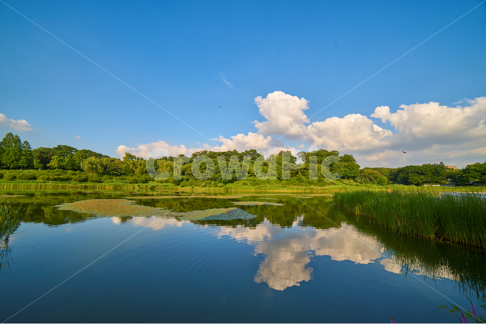 sky,cloud,Olympic Park,blue sky,reflection,mirror pond,puffy clouds,nice weather,lake