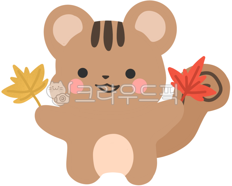 Squirrel,squirrel face,cute squirrel,squirrel character,squirrel illustration,squirrel cartoon,squirrel illustration,squirrel element,character face,animal,small animal,mouse,rodent,wild squirrel,autumn squirrel,squirrel sticker,squirrel d