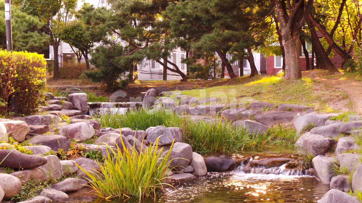 냇가,연못,정원,평온,고요,물,water