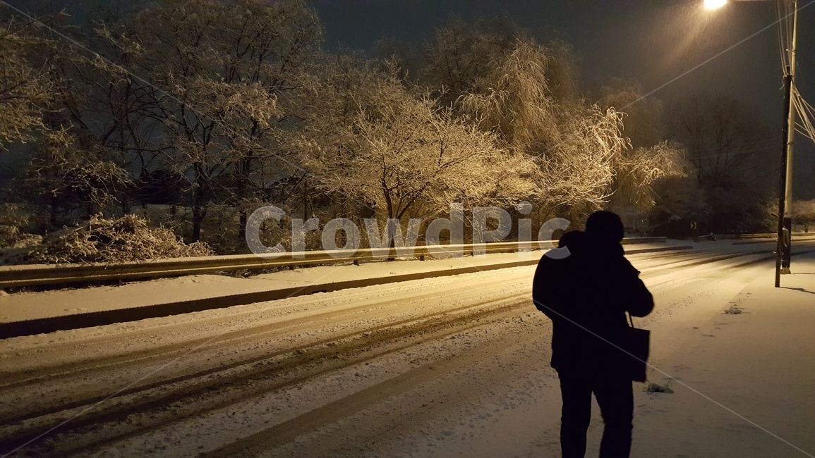 nature,자연,눈,가로등,뒷모습,겨울,계절,winter,season