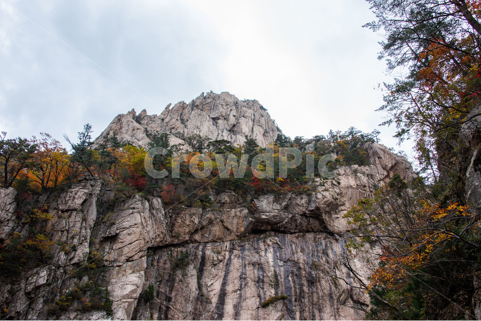설악산,국립공원,가을,단풍,천불동계곡,기암괴석,가을,계절,fall,autumn,season,자연,풍경,nature,landscape,outdoors,옥외,cliff,낭떠러지