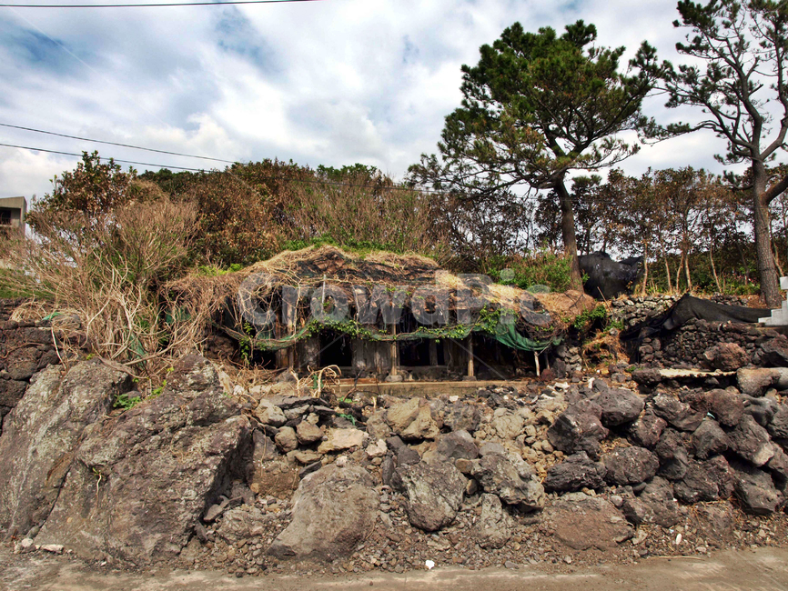 페가,돌담,올레5코스,올레길,제주,서귀포시,자연,풍경,nature,landscape,제주도,jeju,jeju island,outdoors,옥외,building,건물