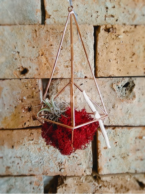 벽돌,벽돌장식,필란드시아,작은식물,행거소품,사물,물건,오브젝트,thing,object,matter