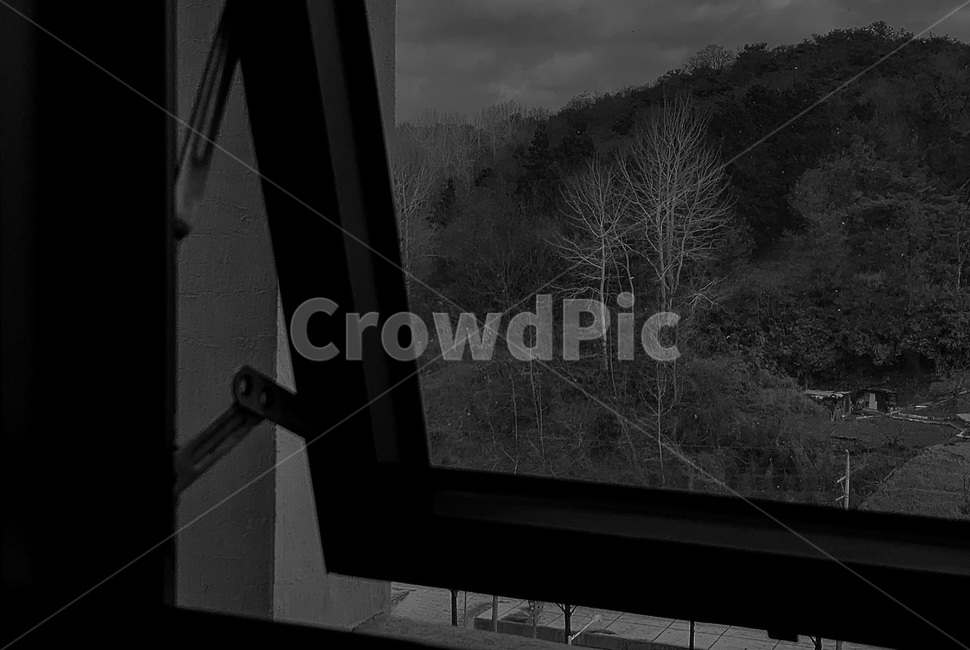 풍경,창문,창밖,나무,tree,window