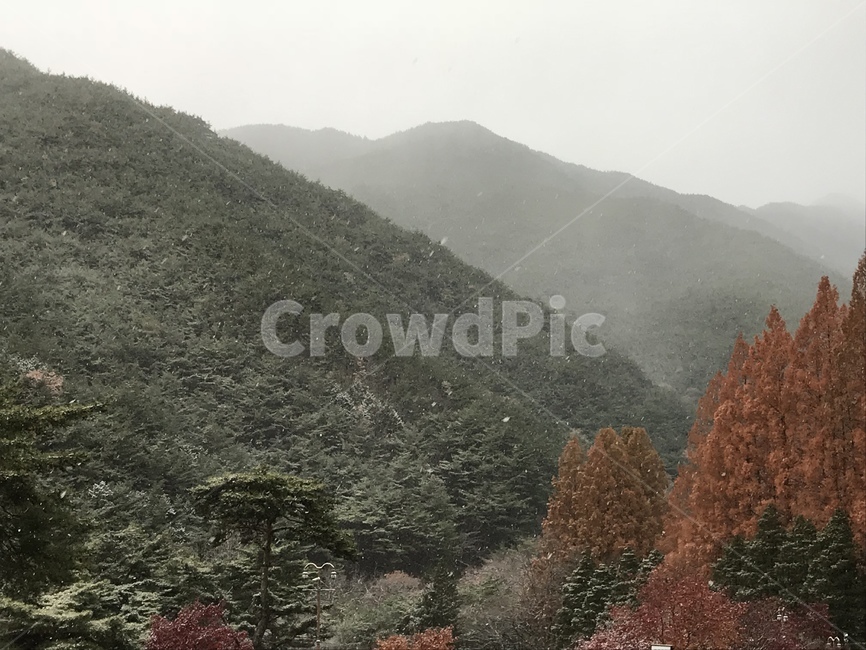 겨울풍경,하늘,나무,안개,눈,겨울,계절,winter,season,자연,풍경,nature,landscape,tree,plant,식물,outdoors,옥외,fir,전나무